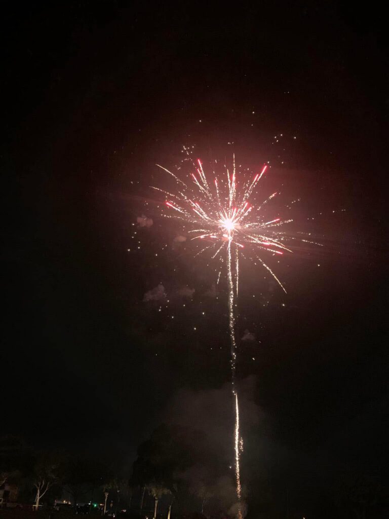 Professional Firework launched by Mohawk Pyro Productions outside Tampa, FL