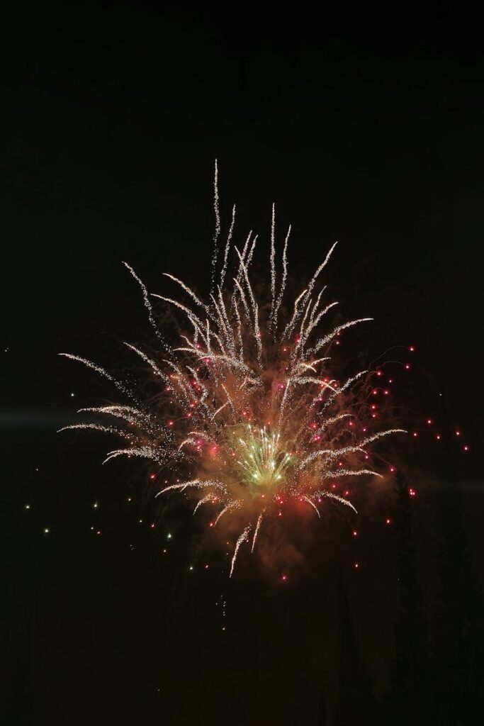 Colorful fireworks burst, illuminating the night sky and creating a festive atmosphere for Pasco County, Florida